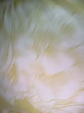 Dhiyapink online show from 2, 12, 2024