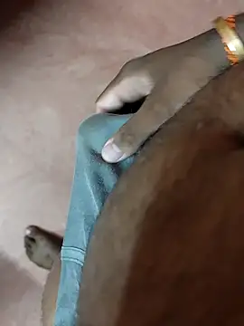 dinesh682 online show from 4, 4, 2026