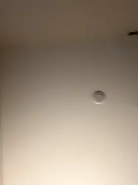 DancingLemonade online show from 16, 11, 2025