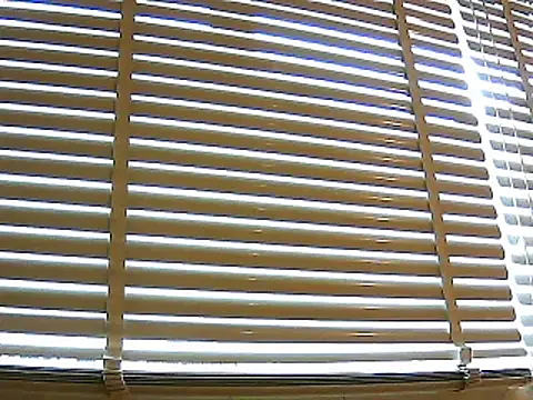 papiculo86 online show from 26, 1, 2025