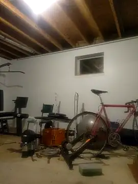 Rubisco90 online show from 5, 12, 2024