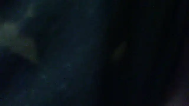 Billywax online show from 2, 2, 2026