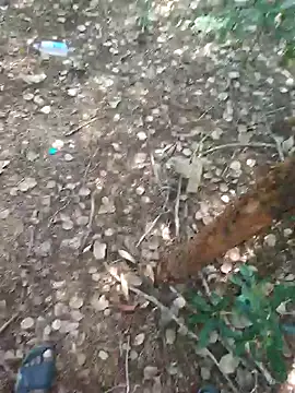 rameshmry1 online show from 21, 2, 2026