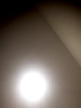 sua sub  online show from 27, 2, 2026