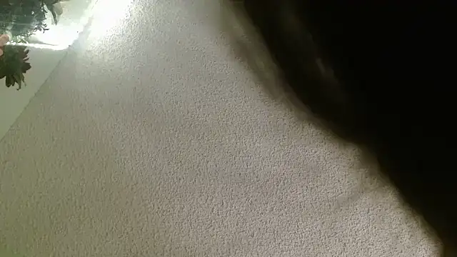 Yescuhh420 online show from 14, 1, 2026