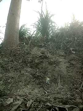 FinableKnee online show from 15, 10, 2025