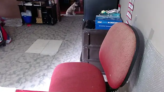 Barbiegomez online show from 19, 3, 2026