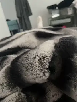 Furdale online show from 18, 12, 2024