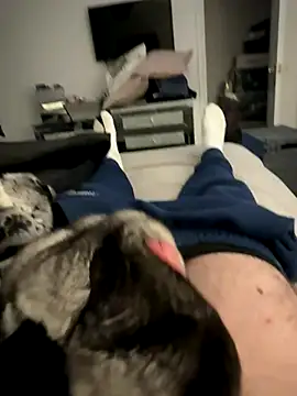 Furdale online show from 5, 12, 2025