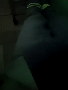 N-lS online show from 25, 3, 2026