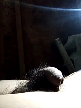 rodovlaz online show from 12, 11, 2025