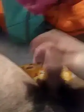 jon763 online show from 10, 1, 2025