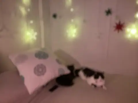 Im sophiie online show from 19, 12, 2024