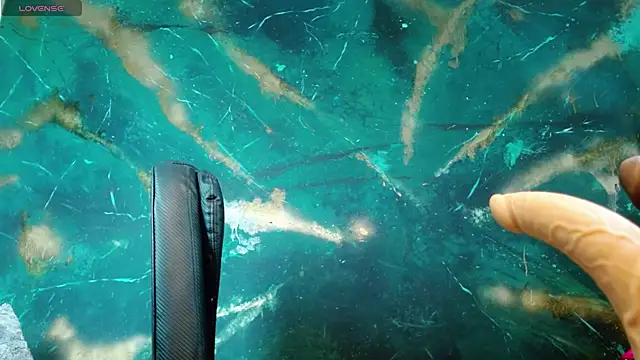 julieth sex1 online show from 27, 9, 2025