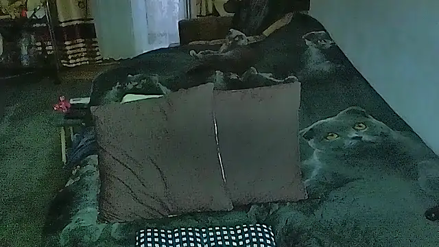 sex2 online show from 9, 4, 2026