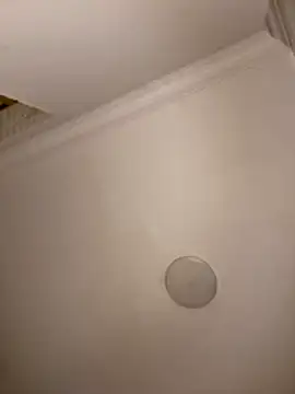 Drkats online show from 18, 3, 2026