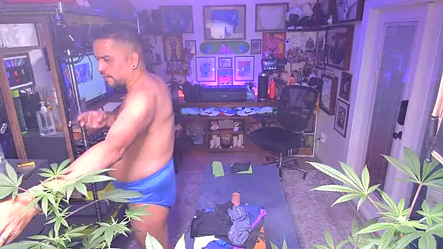 Snapshot of Briefs_bud chatting on 16, 12, 2024 Briefs bud online show from 16, 12, 2024