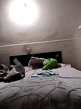 starplss online show from 8, 11, 2025