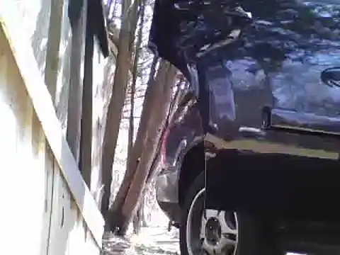 Yankeedave420 online show from 13, 4, 2026