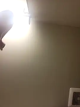 Snapshot of gdawg78 chatting on 18, 2, 2026 gdawg78 online show from 18, 2, 2026