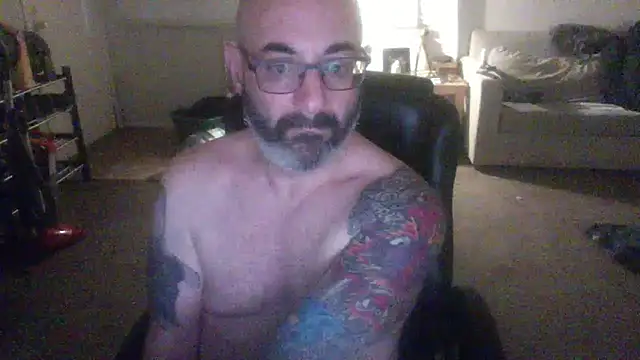 palidin1 online show from 3, 2, 2026