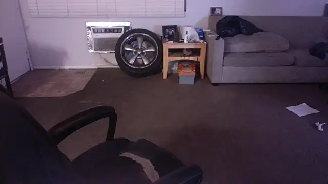 palidin1 online show from 17, 4, 2026