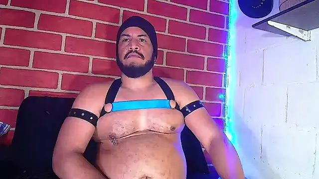 the master foal  online show from 8, 1, 2025