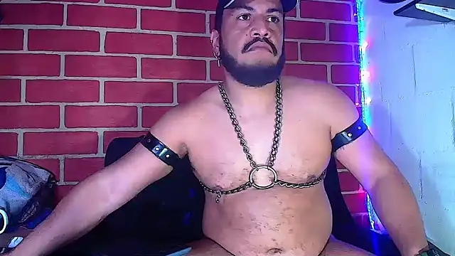 the master foal  online show from 10, 1, 2025