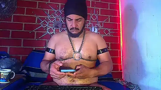 the master foal  online show from 19, 3, 2025