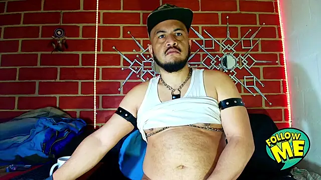 the master foal  online show from 28, 9, 2025