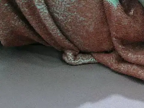 FUN4TIPS online show from 1, 3, 2025