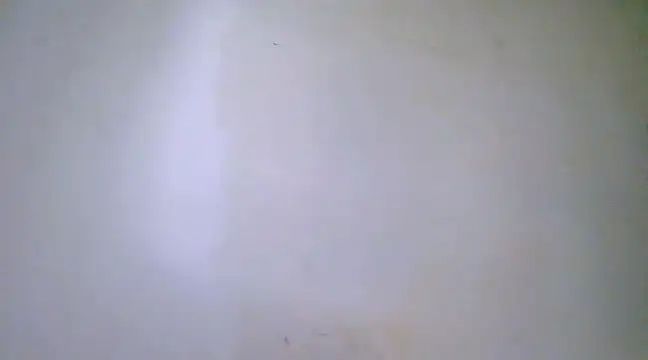 h0ney lips online show from 23, 2, 2025