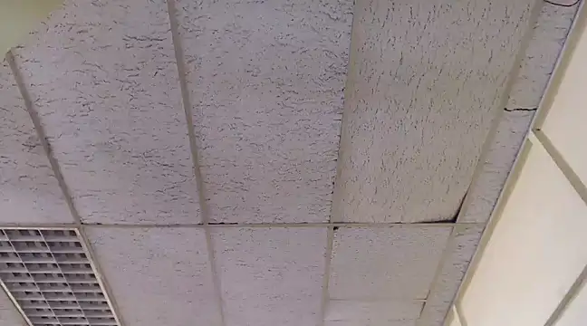 Mydreamgirrl online show from 6, 3, 2025