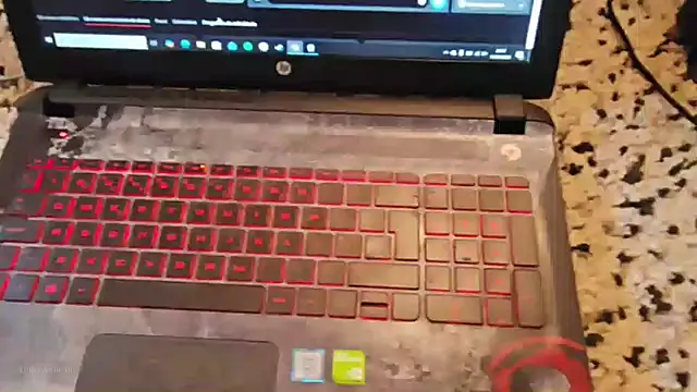 made in brazil online show from 11, 1, 2026