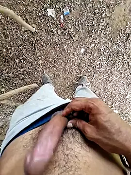 Snapshot of breejs chatting on 27, 9, 2025 breejs online show from 27, 9, 2025