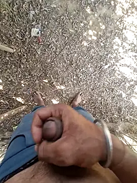 breejs online show from 23, 11, 2025