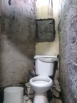 king-lobo-act online show from 17, 11, 2025