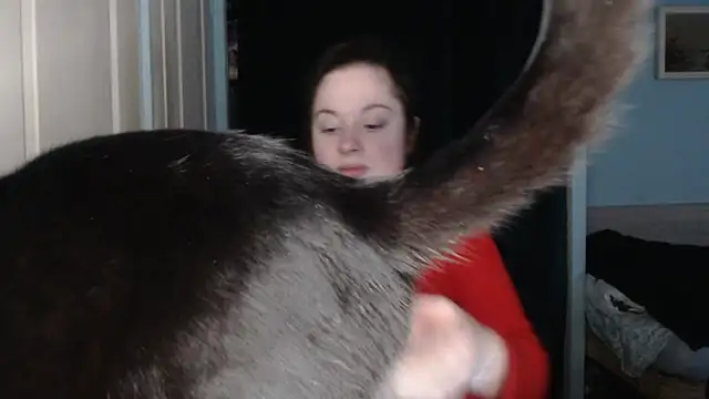 ryhhnnagold99 online show from 8, 2, 2026