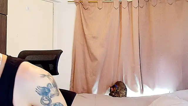 jimmy class online show from 28, 11, 2025