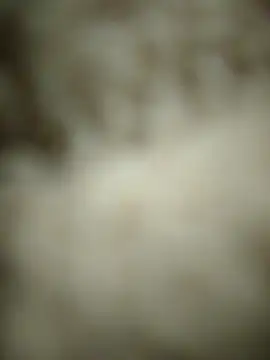 Snapshot of landy20cm chatting on 14, 5, 2026 landy20cm online show from 14, 5, 2026