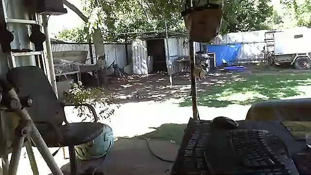 herbie010666 online show from 17, 1, 2025