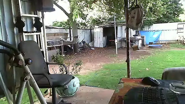 herbie010666 online show from 11, 2, 2025