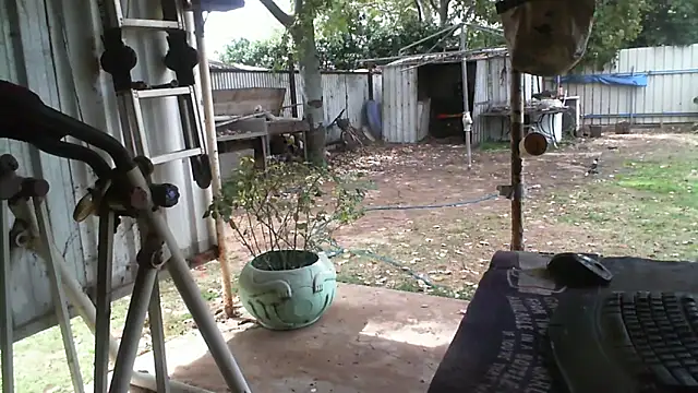 herbie010666 online show from 16, 9, 2025