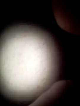 commonjust online show from 26, 11, 2025