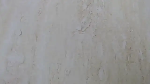 Crazy team  online show from 11, 12, 2024