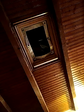 CurlyElisa online show from 26, 2, 2026