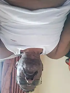 Maddymissile online show from 16, 3, 2026