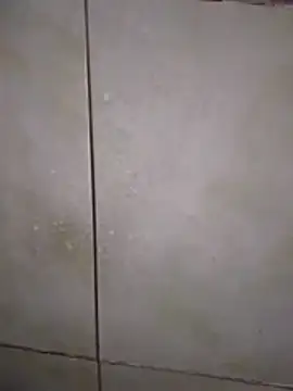 Snapshot of Xxxfill chatting on 27, 11, 2025 Xxxfill online show from 27, 11, 2025