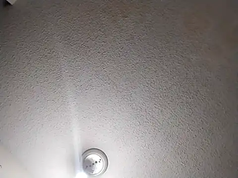 247Srokin online show from 24, 3, 2026