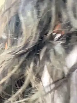 Snapshot of bea3liz chatting on 18, 12, 2024 bea3liz online show from 18, 12, 2024